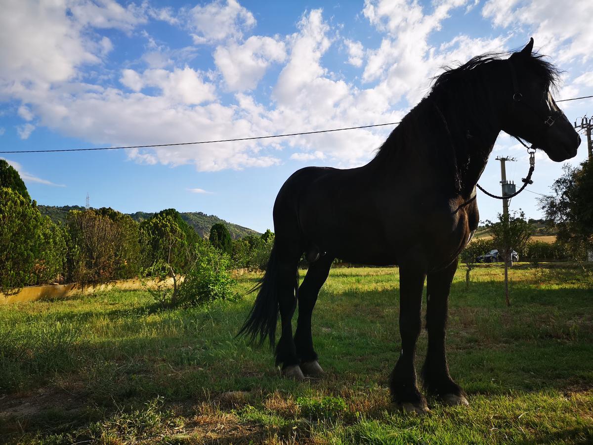 Fontana La Pietra Βίλα Pisticci Εξωτερικό φωτογραφία